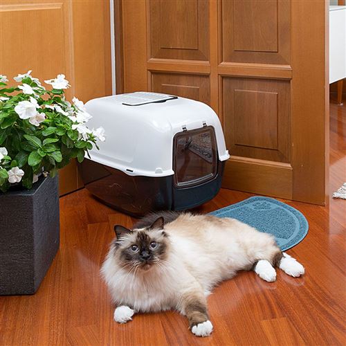 Litiere Fermee Pour Chats Prima Avec 2 Filtres A Charbon Anti Odeur Inclus Porte Foncee Et Poignee Hygiene Et Sante Pour Chat Achat Prix Fnac