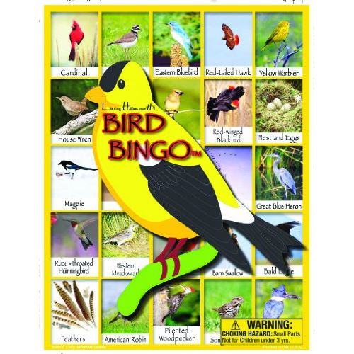 Lucy Hammett - Bird Bingo - jeu de correspondance