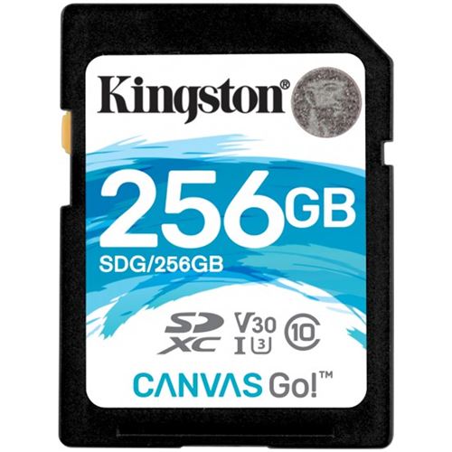 Kingston Canvas GO 256GB SDXC