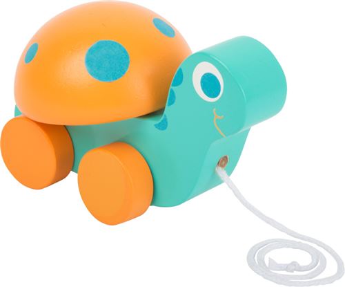 Animal À Tirer Tortue