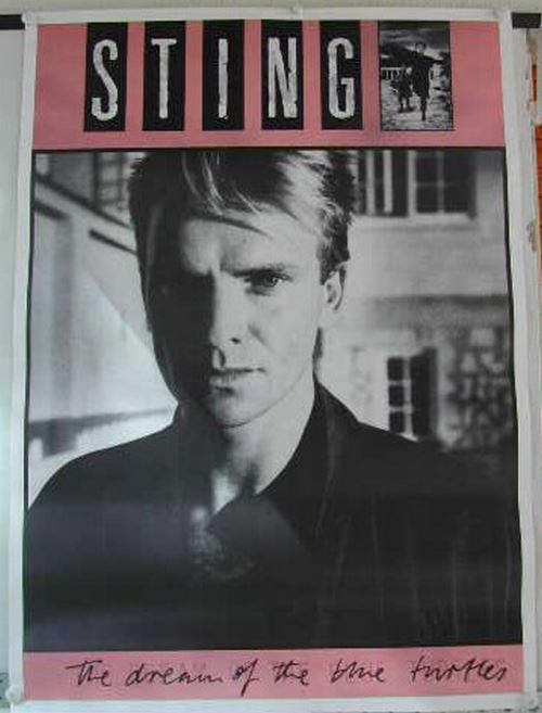 Sting - 61x85 cm - AFFICHE / POSTER