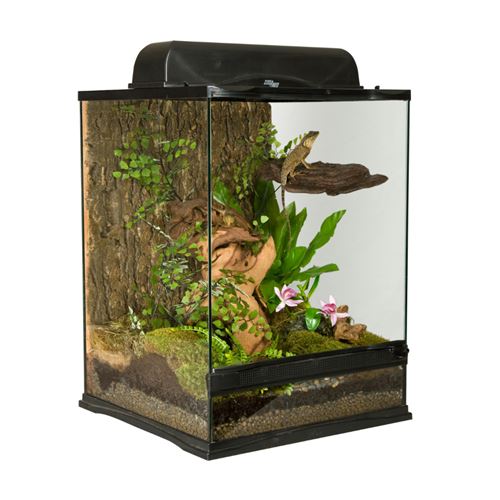 Meilleurs prix pour Zoomed - Terrarium Naturalistic