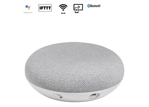 Enceinte Intelligente Google Home Mini - Blanche / Grise
