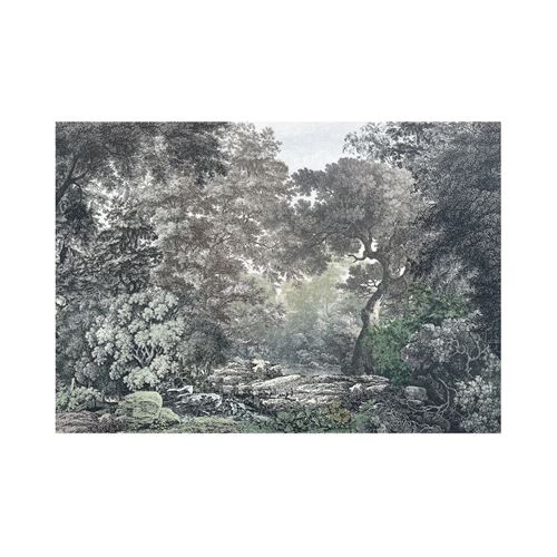 Komar Fototapete "Digitaldruck Vlies - Wood Wide Web - Größe 400 x 280 cm" bedruckt glatt Wohnzimmer, Schlafzimmer