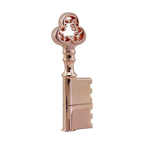 Aneew 16 Go Pendrive USB Or Rose Clé en métal Modèle USB Flash Drive Memory Stick U Disque Cadeau