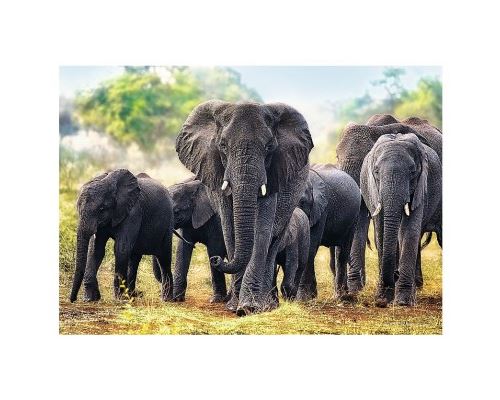 Puzzle 1000 Pièces : Éléphants Africains, Trefl
