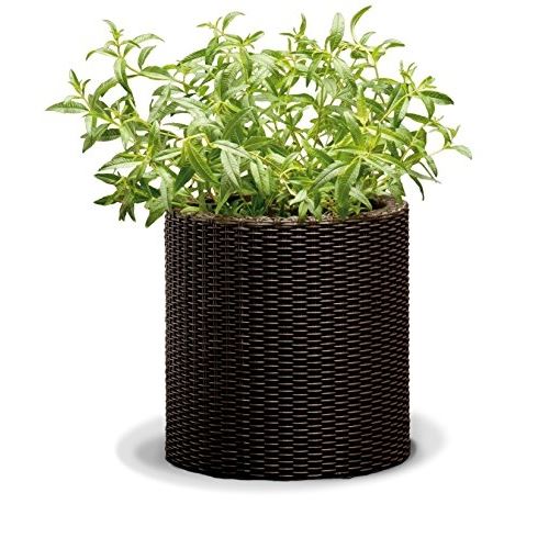 Curver pot moyenne rotin