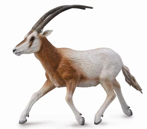 Collecta Wildlife - Figure de jouet en oryx avec cornes de cimeterre - Modèle authentique peint à la main