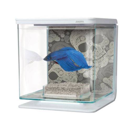 Meilleurs prix pour marina kit aquarium équipé tete de mort pour betta - 2 l