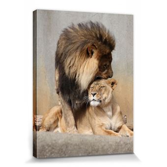 Grands Felins Poster Reproduction Sur Toile Tendue Sur Chassis Lion Et Lionne Amour Felin 40x30 Cm Achat Prix Fnac