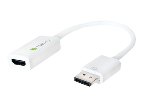 TECHly - Adaptateur vidéo - DisplayPort mâle pour HDMI femelle - 15 cm - blindé - blanc - support 4K