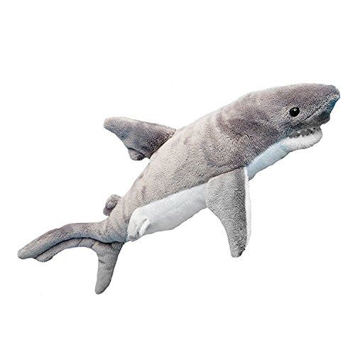 Douglas Smiley Shark 12