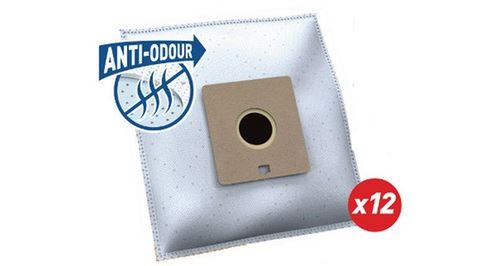 Sac aspirateur TEMIUM SAC A NI102MN X12