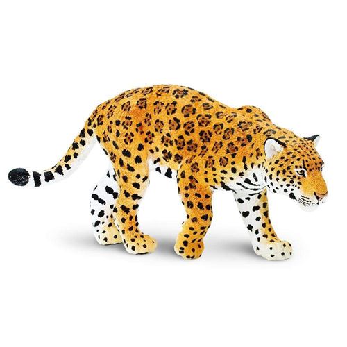 Safari Wild Sea Life Jaguar