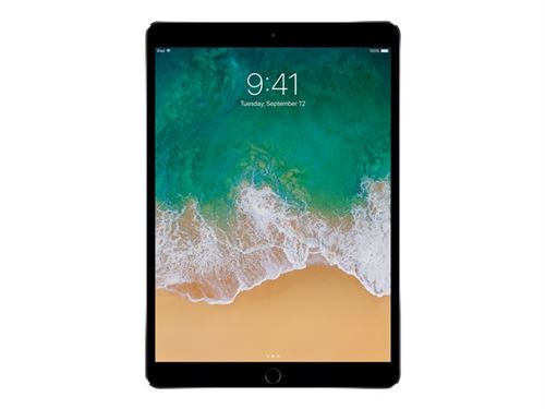 Apple 10.5-Inch iPad Pro Wi-Fi - 1Ère Génération - Tablette - 512 Go - 10.5" Ips (2224 X 1668) - Gris Sidéral