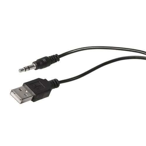 Enceinte PC Haut-parleurs pour ordinateur 2.0 USB 6W Audiocore