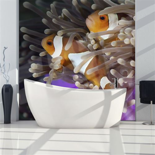 Papier peint - Poissons clowns - 400x309 Artgeist (51702)