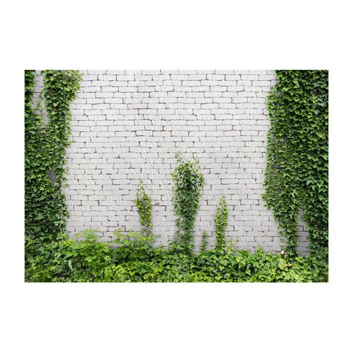 Artgeist - Papier peint - Lierre grimpant 200x140