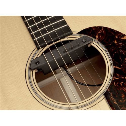 Fishman Rare Earth - Micro rosace actif magnétique guitare acoustique -  REP101, Accessoire pour guitare, Top Prix