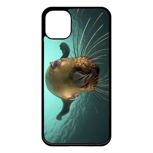 Coque My-Kase pour iPhone 11 - loutre tu veux ma photo - Plastique Noir