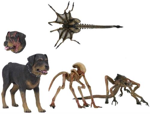 NECA - Figurine Aliens 3 - Set 4 Pack Creatures 8cm - 0634482516317