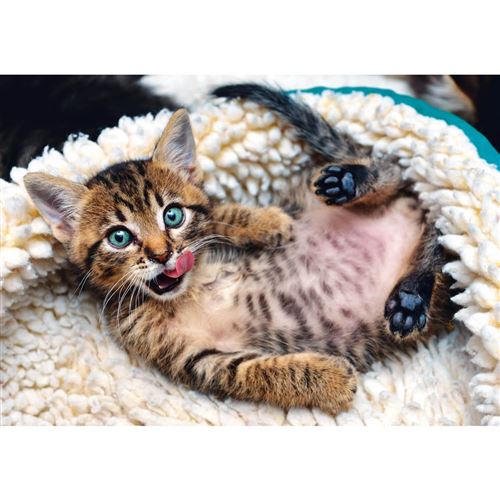 Trefl Puzzle 1000 Pièces : Chaton Joyeux
