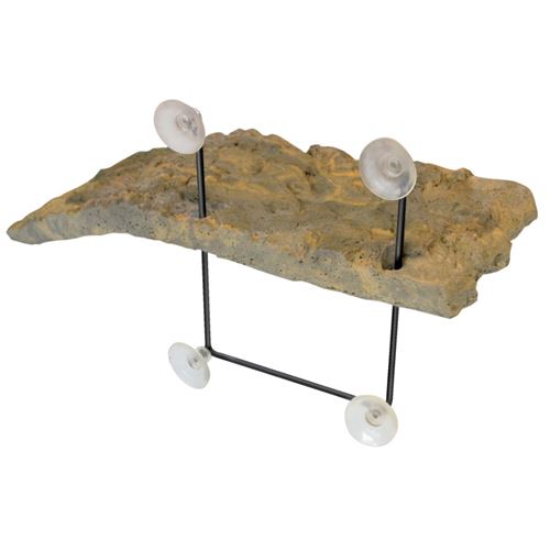 Meilleurs prix pour ZOOMED Ilot flottant - PM - Pour tortue aquatique