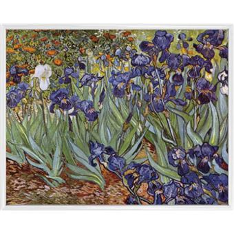 iris van gogh prix