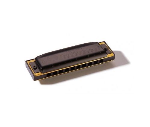 HOHNER - HARMONICA BLUES HOHNER PRO HARP 562/20 MS A