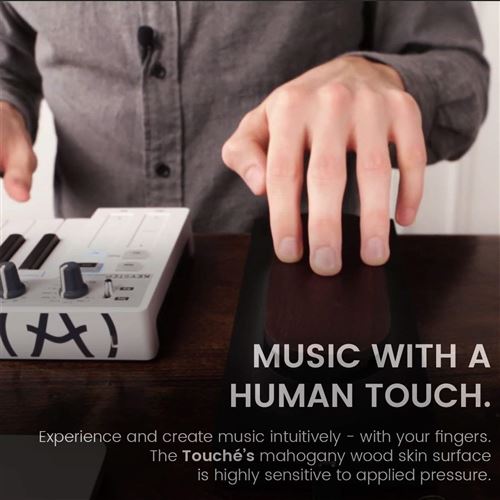 Expressive E Touché MIDI/CV/USB Control Surface for Synthesizers and Keyboards: Musical Instruments