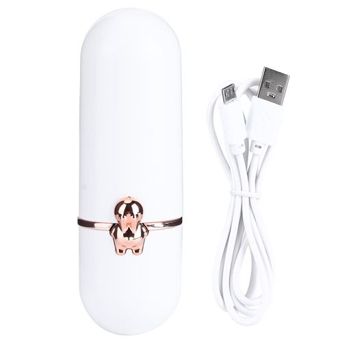Mini ventilateur portable pliable USB Rechargeable Blanc