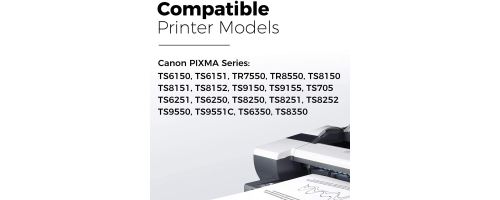 5 XXL Cartouches d'imprimante compatibles Canon PGI-580 CLI-581 XXL pour  Canon PIXMA TS6150 TS6151 TR7550 TS8150 TS8151 TS8152 TR8550 TS9150 TS9155  - Porte clef - Achat & prix