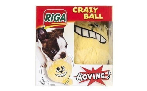 crazy ball chien