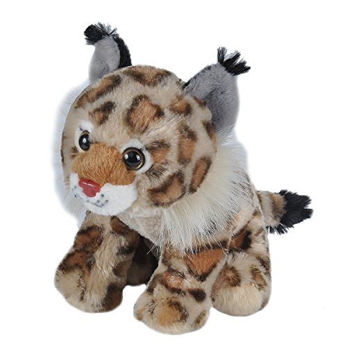 Wild Republic Bobcat Plush, Peluches, Peluches, Cadeaux pour enfants, Peluches 8 Pouces