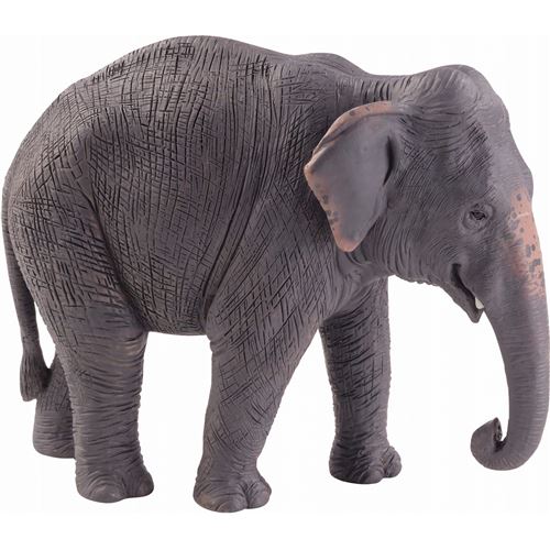 Non Communiqué Figurine Éléphant D'asie, Animal Planet, 12 Cm X 4 Cm X 9 Cm