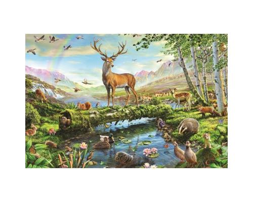 Puzzle 1500 Pièces : Adrian Chesterman - Wildlife in Spring, Falcon