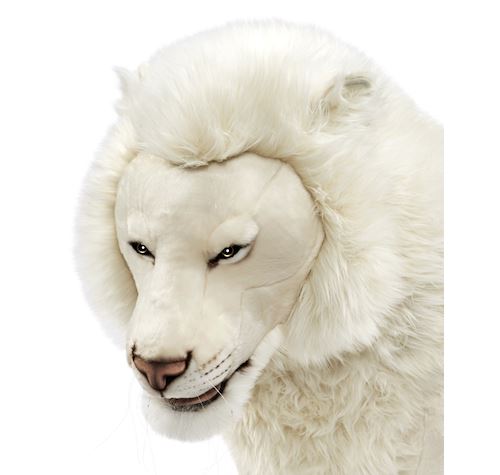 Lion blanc peluche online