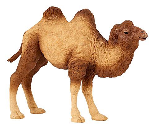 Acheter Figurine Chameau de Bactriane État correct - 18,73 € Figurine Chameau de Bactriane État correct - N/A reconditionné disponible sur Fnac