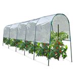 Serre à tomates 6 M