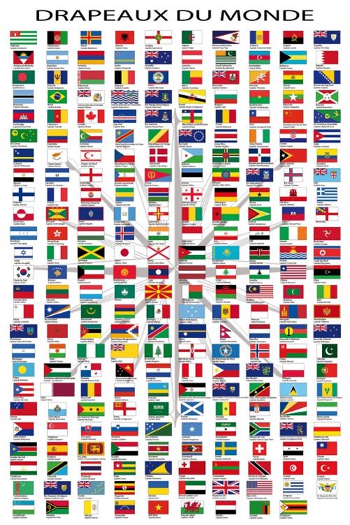 Drapeaux Du Monde Poster - Noms Des Pays Et Capitales, En Français (91x61 cm)