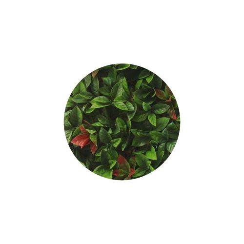 Plaque carr&eacute;e red robin dentel&eacute; JET7GARDEN - Vert - 12 x 50 cm x 50 cm