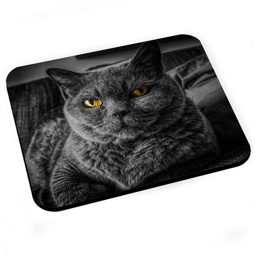 Tapis De Souris Chat De Race Gris Chartreux Yeux Jaunes Mignon Tapis De Souris Achat Prix Fnac Tapis De Souris Chat De Race Gris Chartreux Yeux Jaunes Mignon Tapis De Souris Achat Prix Fnac