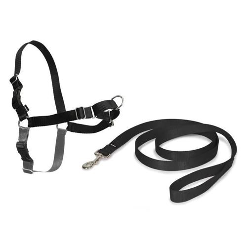 Cynnotek - harnais easywalk chien s noir CY3334
