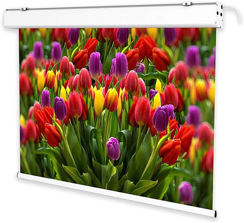 CELEXON ECRAN DE PROJECTION MOTORISÉ EXPERT 250 X 156 CM