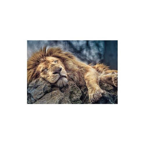 Puzzle Trefl - Lion endormi, 1000 pièces
