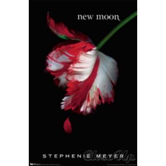 Twilight 55 8x86 3 cm AFFICHE - Twilight 55 8x86 3 Cm AFFICHE POSTER #283a2f5e 7571 4299 Bd3e 7e32aca13b08