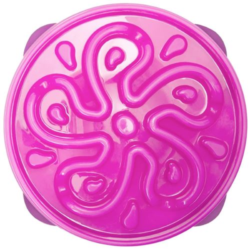 Outward Hound Mangeoire Lente Pour Chiens Slo Bowl Fleur Violet 1579