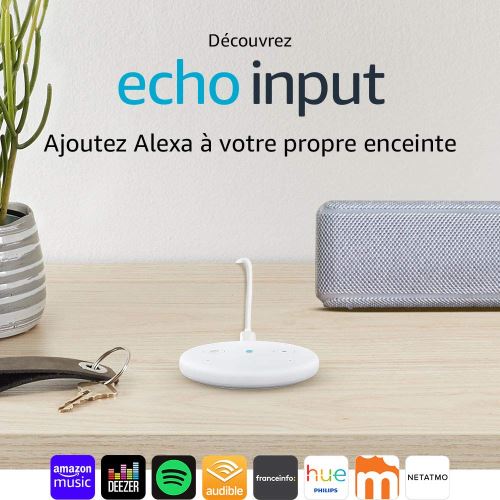 Echo Input white