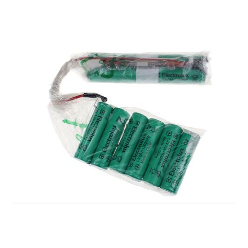 Kit batterie ergo rapido pour aspirateur electrolux - 6093868