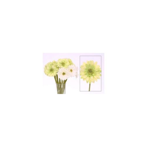 branche décorative gerbera - 47 x 12 cm